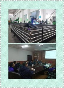 质量提升 贵在行动 系统化活动策划方案